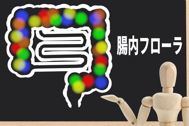植物性乳酸菌にはどんな働き・効果がある?