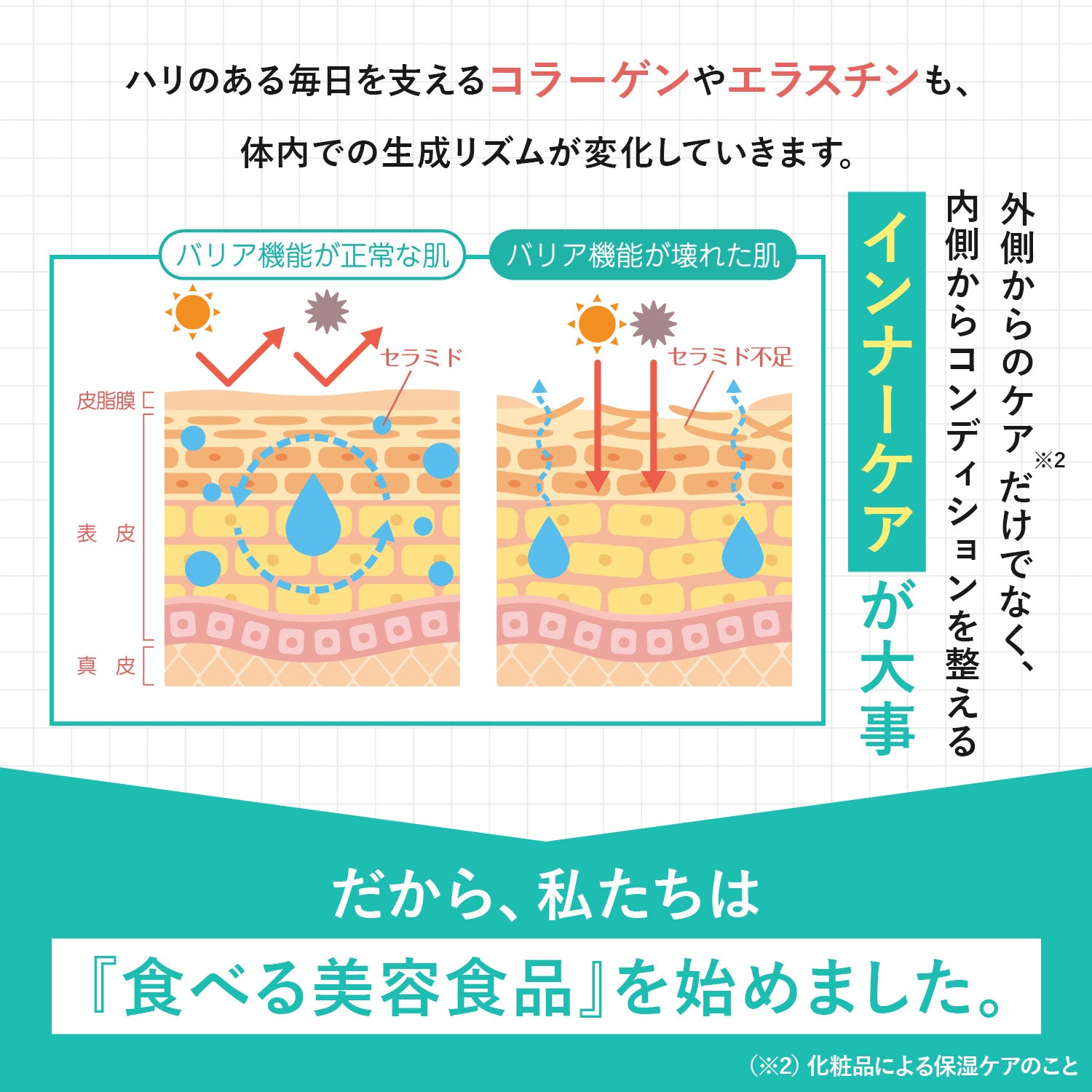 カサつき 肌調子がのらない ピンとしない