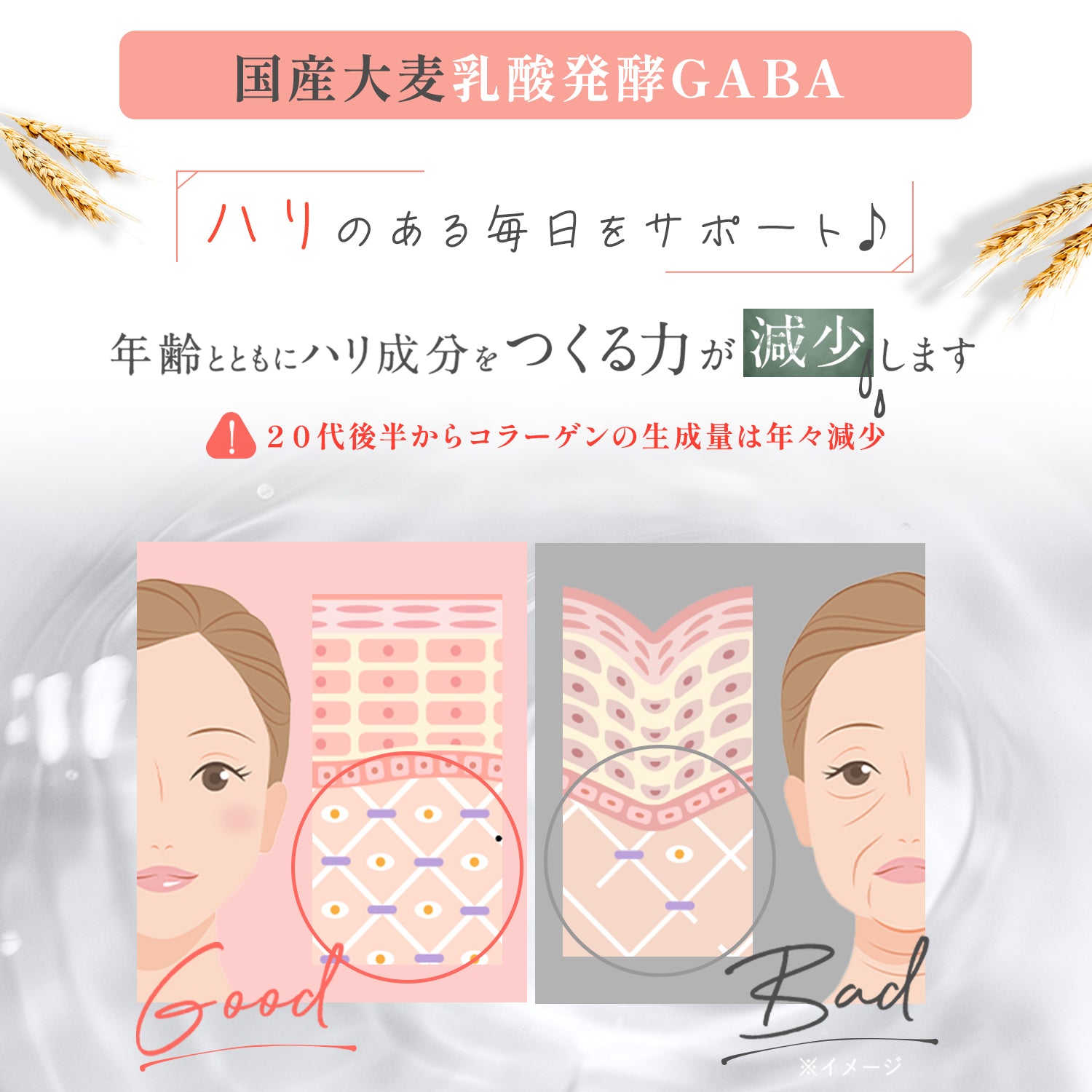 ★92%OFF! ★訳アリセール【30袋入り】うるおい贅沢美容ゼリー (ジュレ)