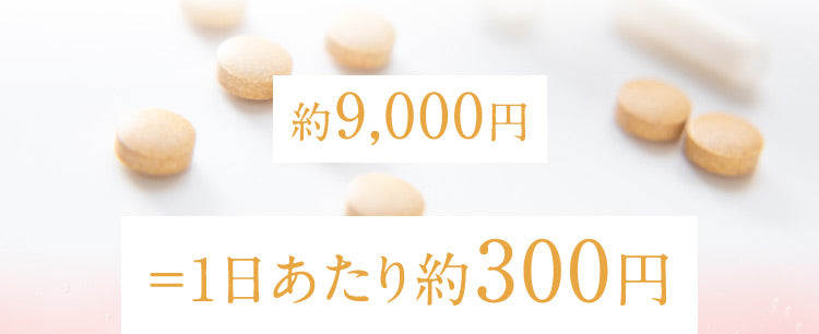 約9,000円 ＝1日あたり約300円